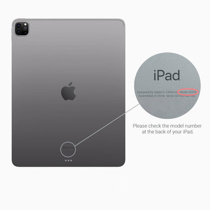 Tortoise - iPad Case